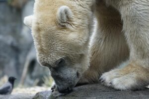 介護における身体的負担を軽減する方法とは？