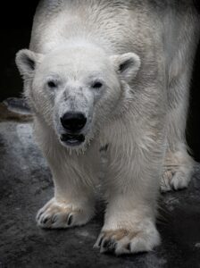 介護の負担を軽減するために知っておくべきポイントは？