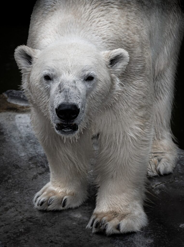 介護の負担を軽減するために知っておくべきポイントは？