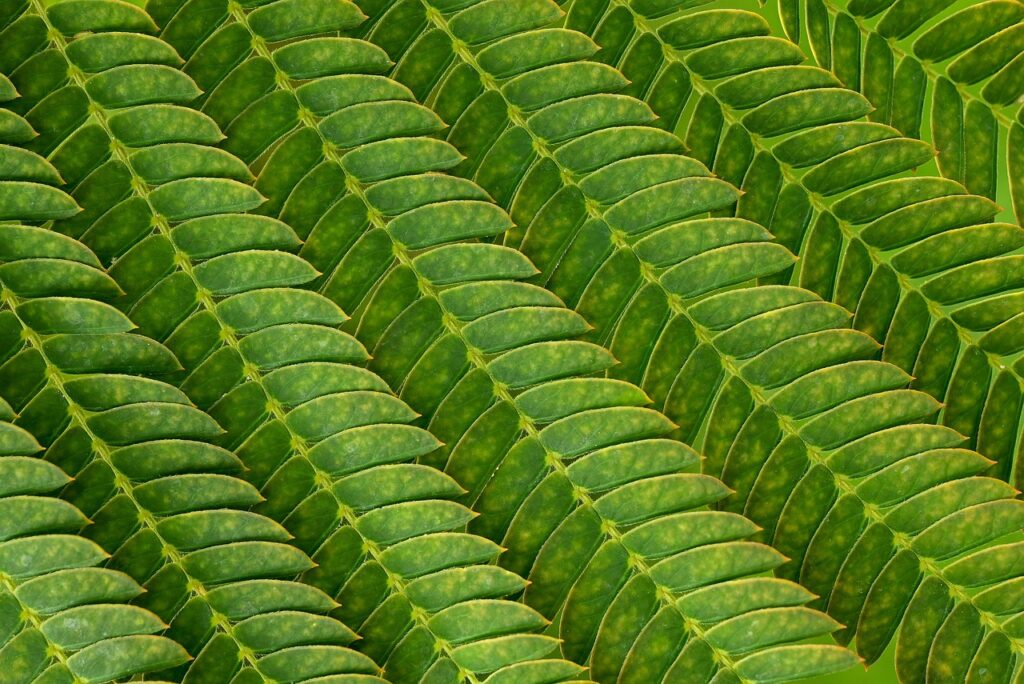 介護のストレスを効果的に発散する方法は？