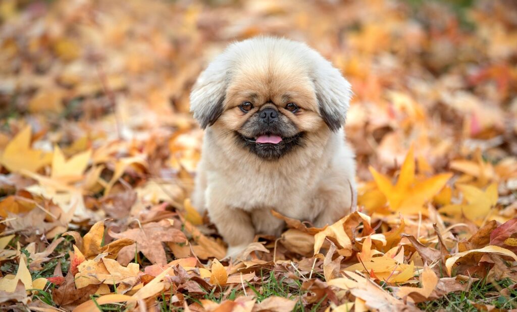 介護休暇の申請方法と注意点は？