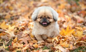 介護休暇の申請方法と注意点は？