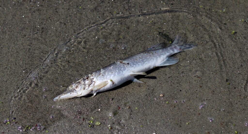 要介護認定の申請方法と必要書類は？