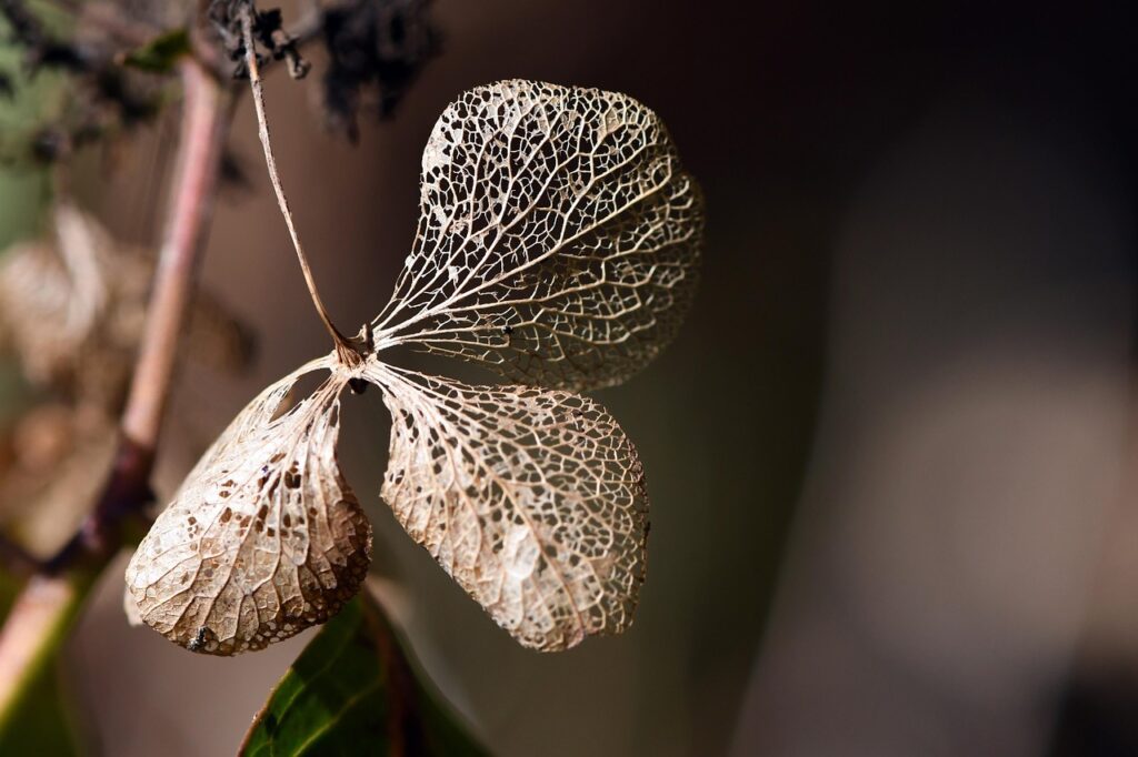 認知症介護に伴うストレスを軽減する方法は？