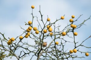 介護を投げ出したい時に考えるべき対処法は？