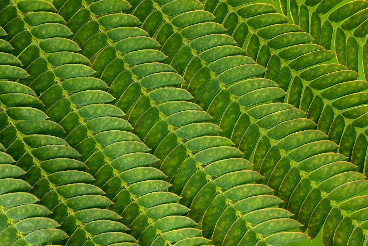 介護疲れの原因はストレスにどのように影響するのか？